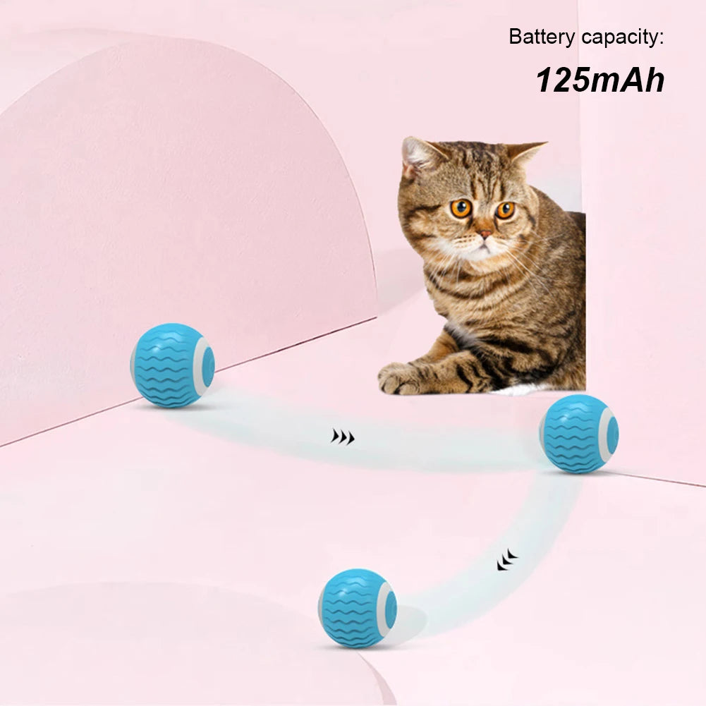 Cat Rolling Ball