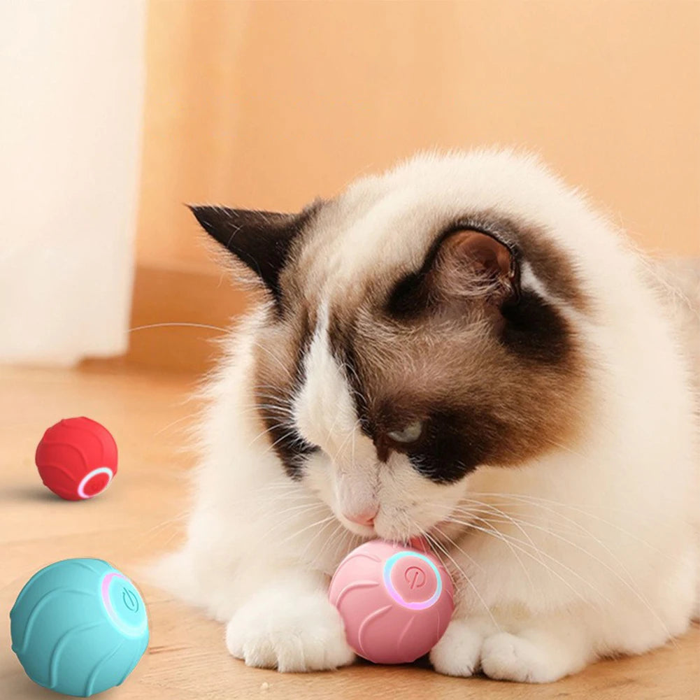 Cat Rolling Ball