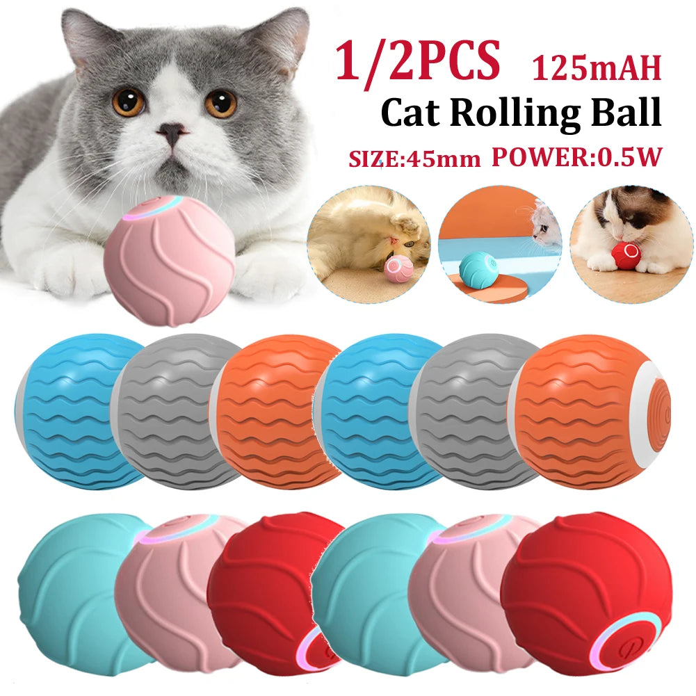 Cat Rolling Ball