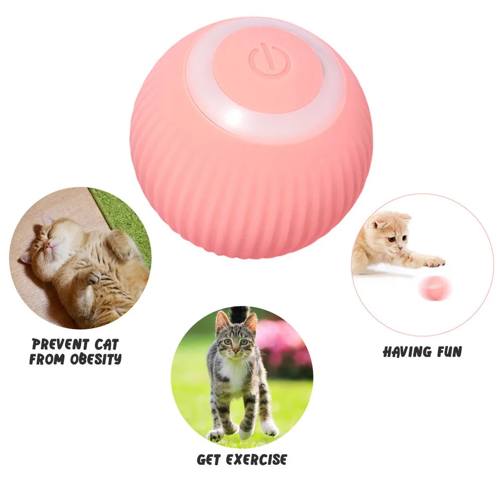 Electronic Interactive Ball Dog Toy