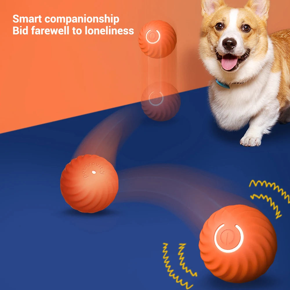 Electronic Interactive Ball Dog Toy