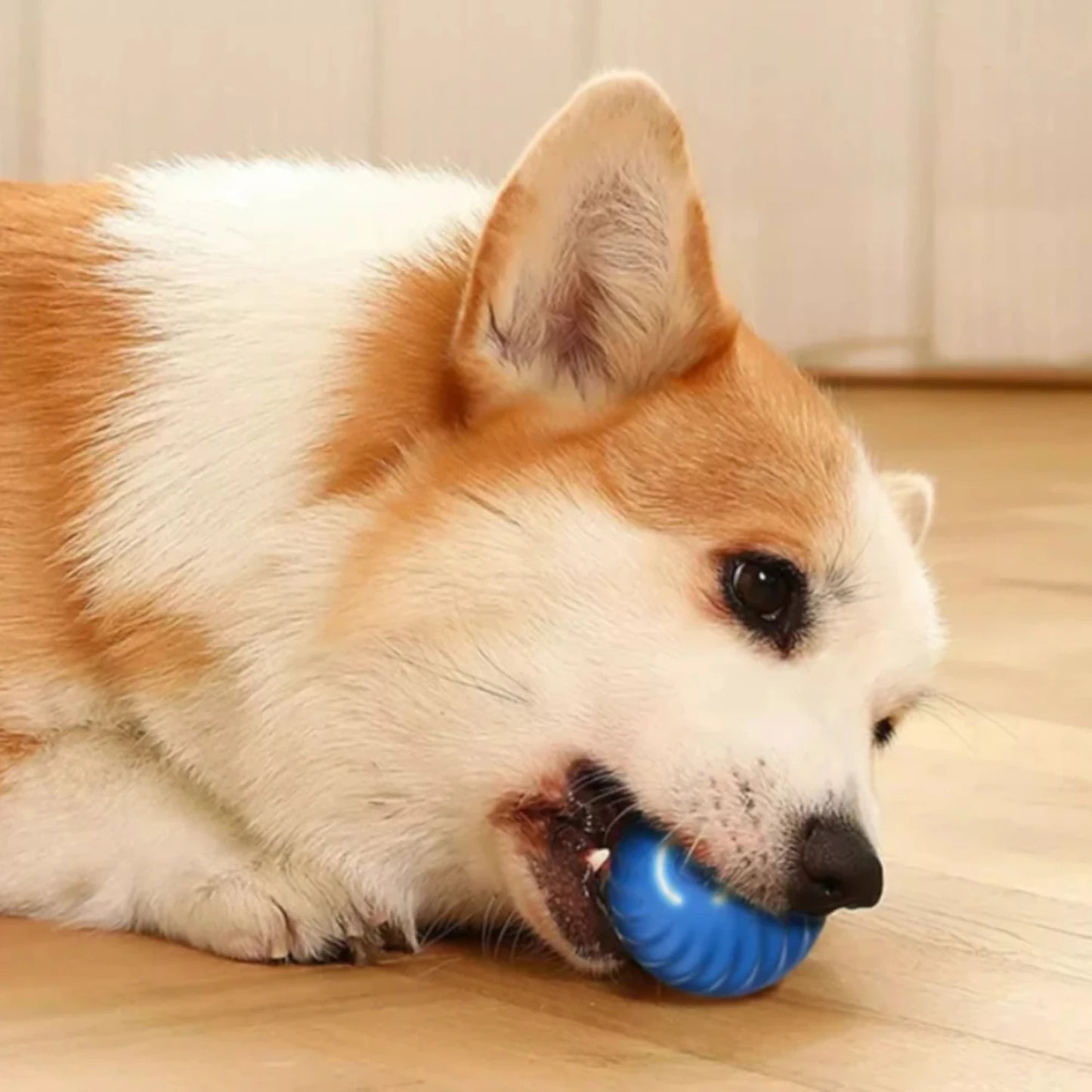 Electronic Interactive Ball Dog Toy