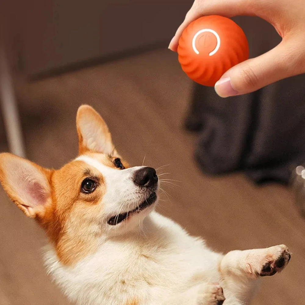 Electronic Interactive Ball Dog Toy