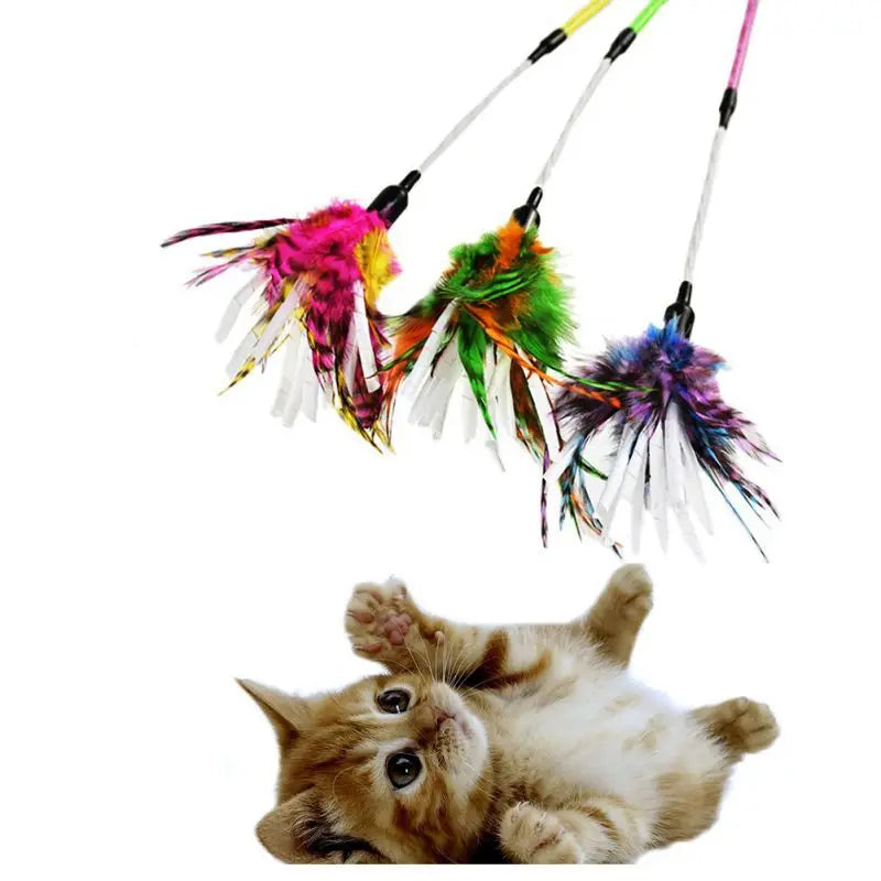 High-Quality Wool and Feather Cat Toys.