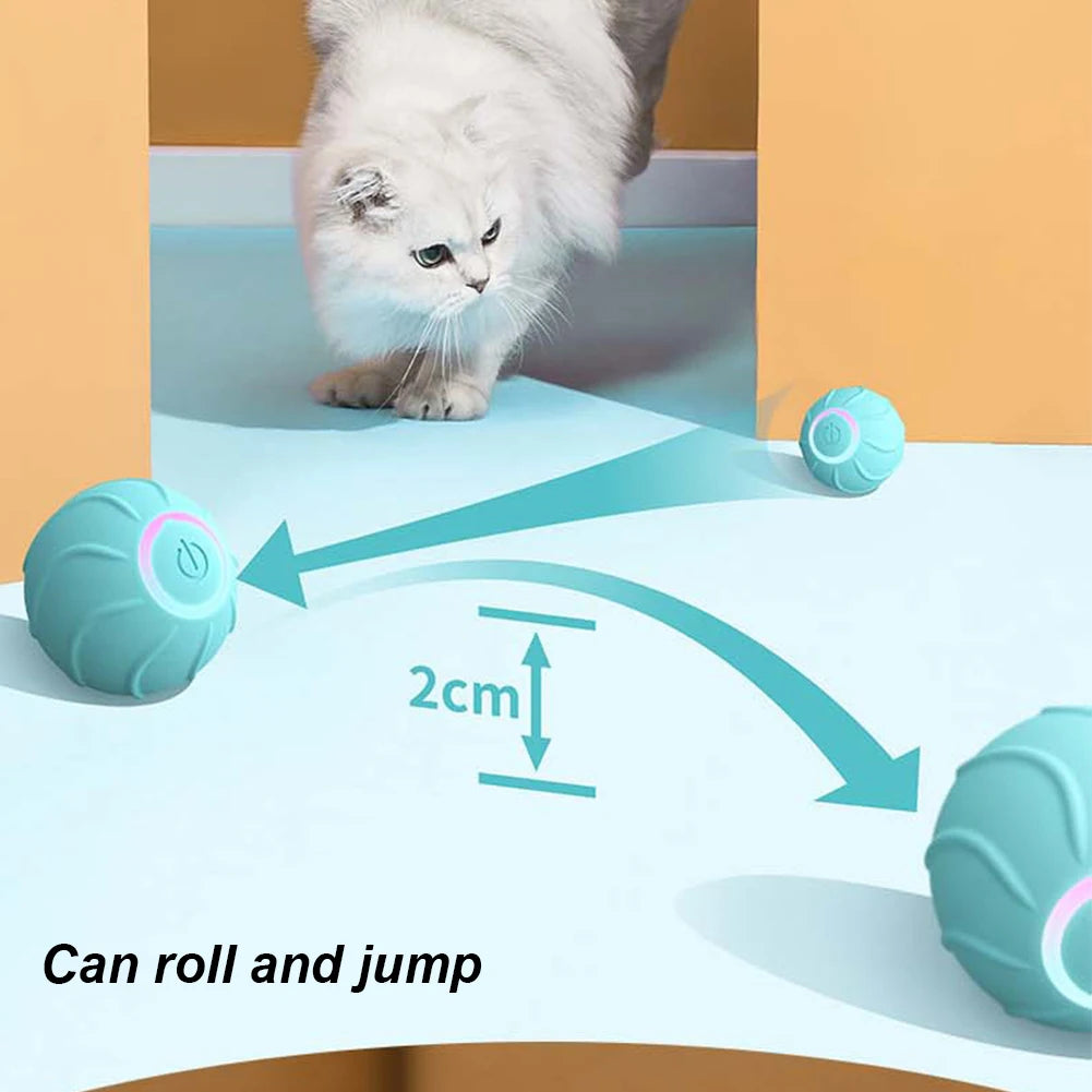 Cat Rolling Ball