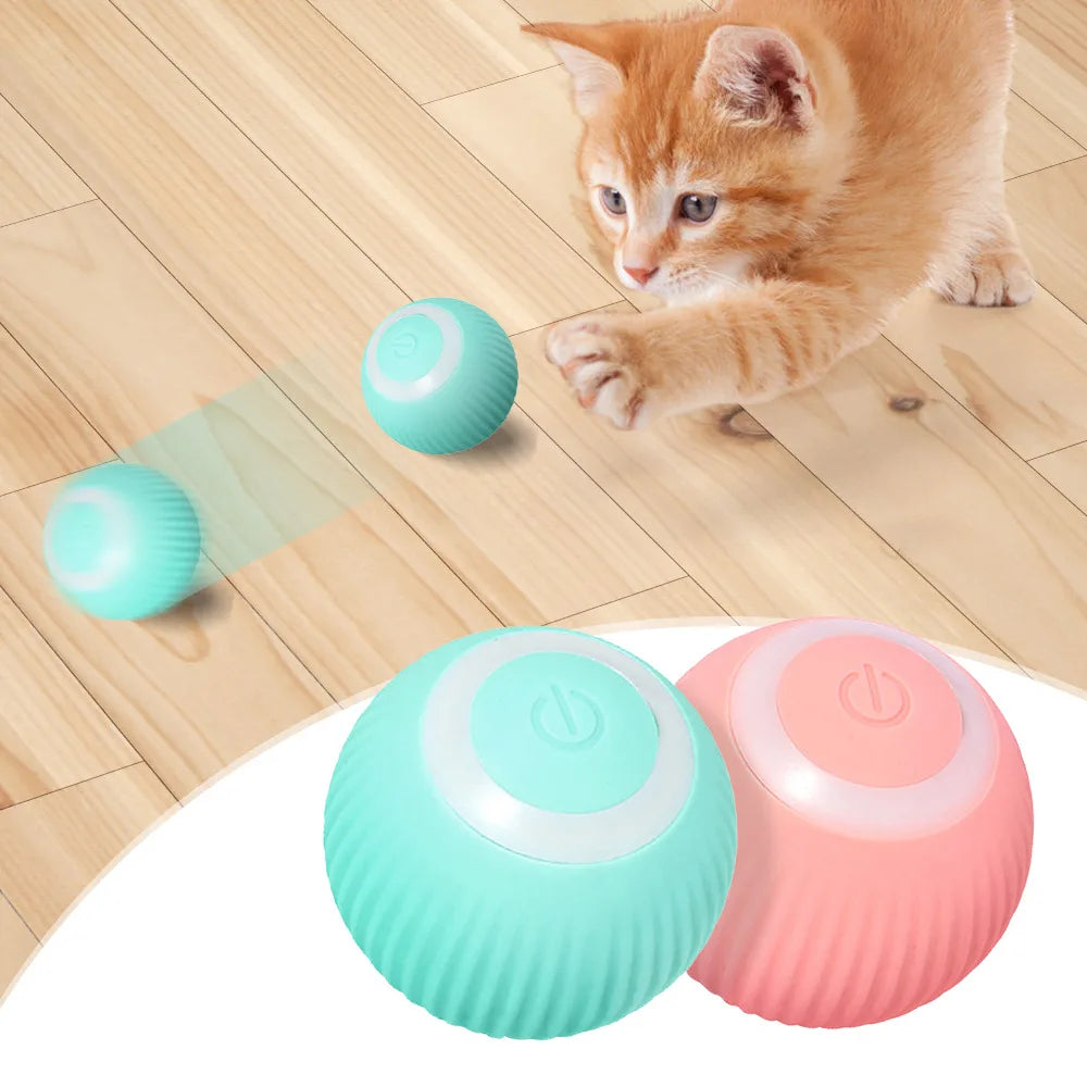 Electronic Interactive Ball Dog Toy