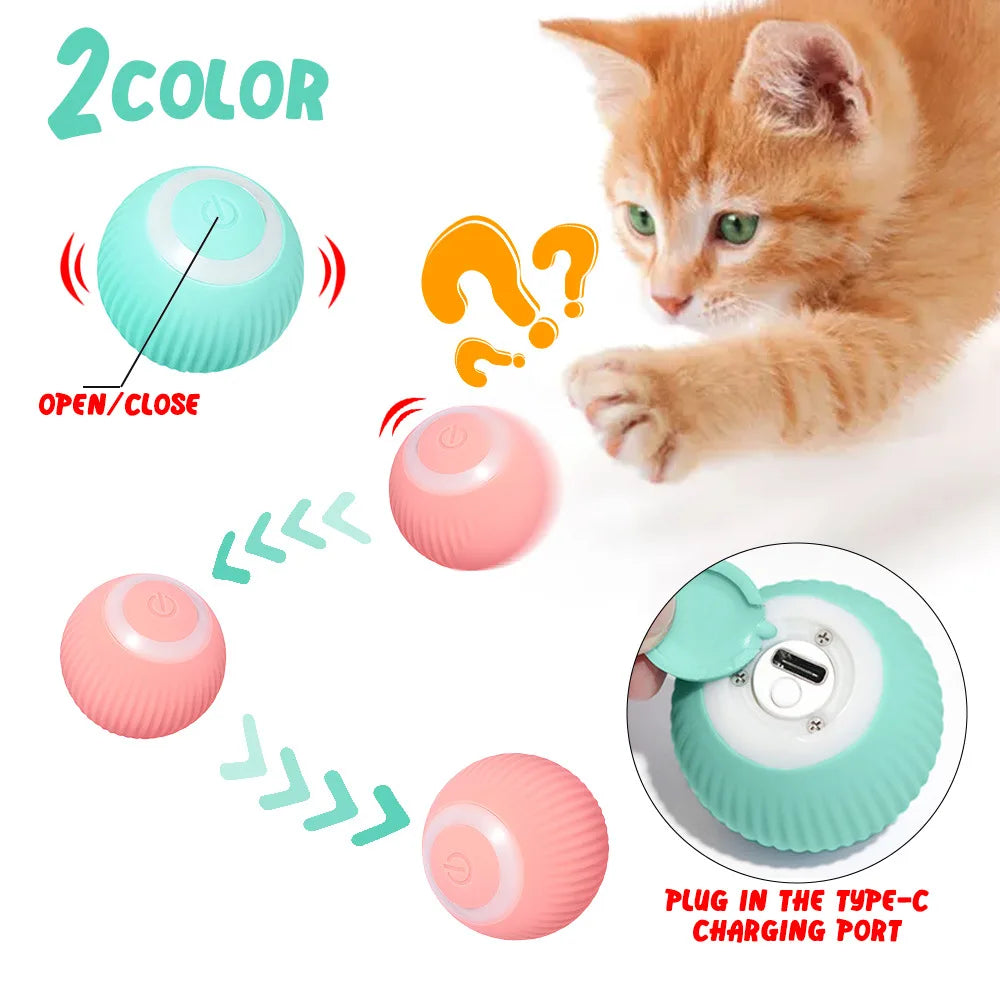 Electronic Interactive Ball Dog Toy